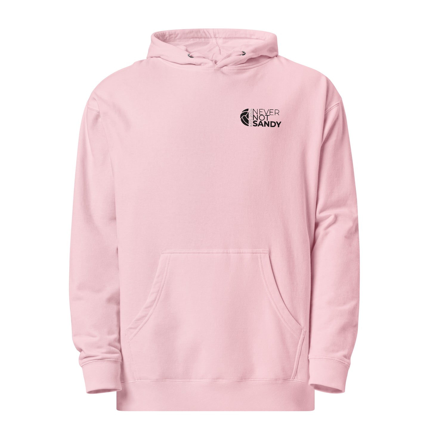 NNS Clean Embroidered Hoodie